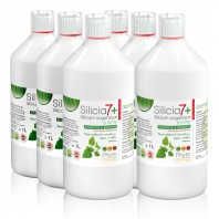 6 Silicia7+ - Silicium Organique