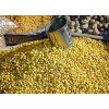 Graines de soja dépelliculées BIO*