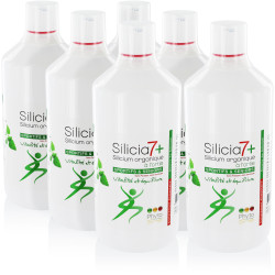 6 Silicia7+