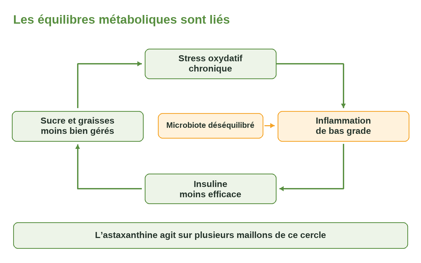 Les équilibres métaboliques sont liés