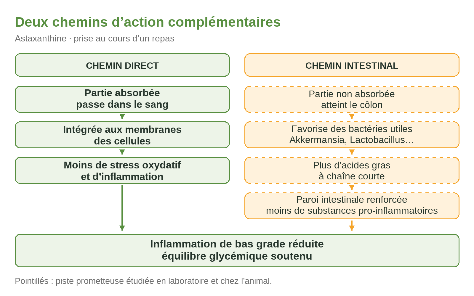Deux chemins d’action complémentaires