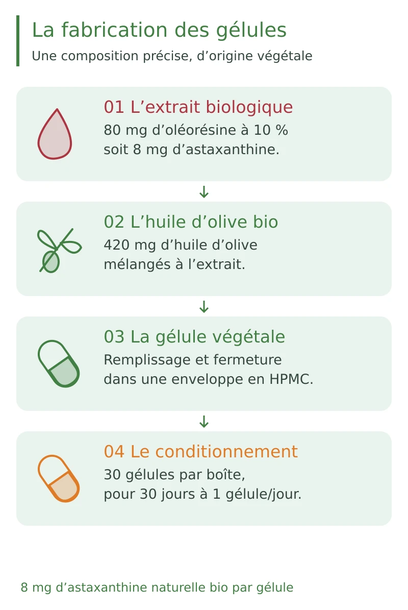 Fabrication et conditionnement des gélules d’astaxanthine bio : extrait à 10 %, huile d’olive bio et enveloppe végétale HPMC