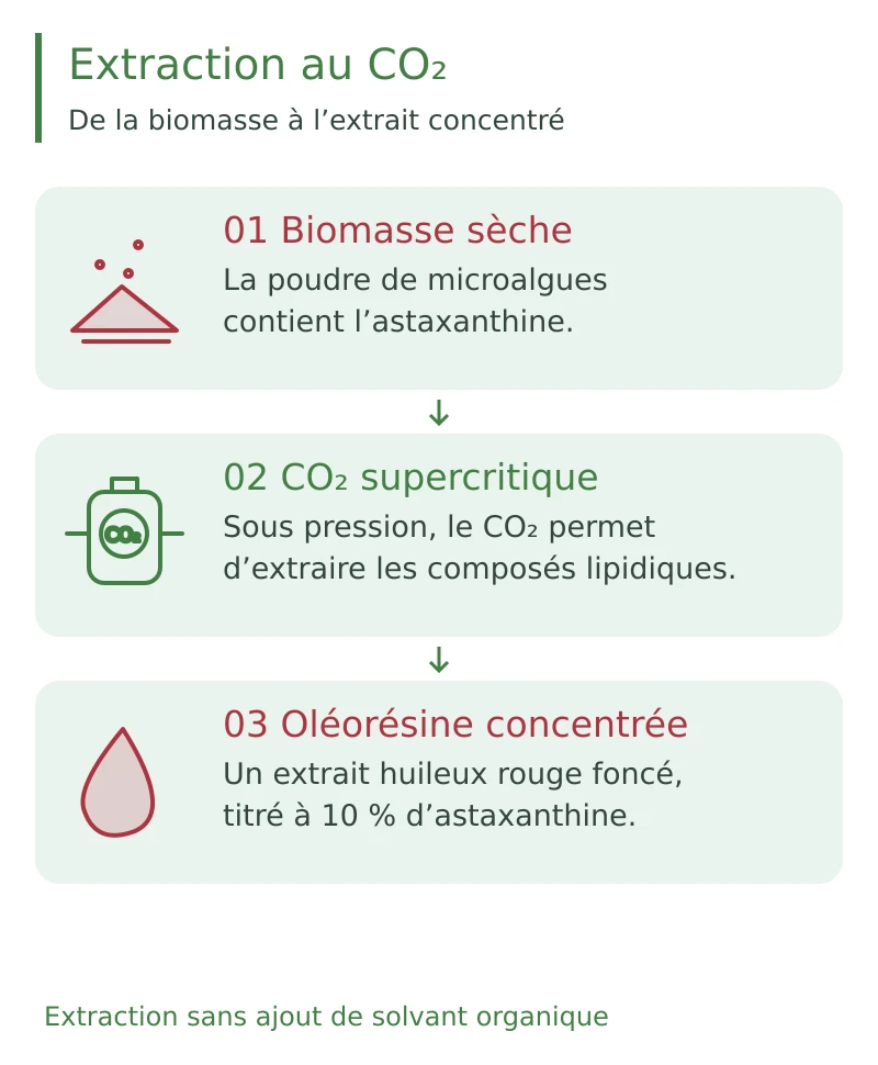 Extraction de l’astaxanthine au CO₂ supercritique à partir de la biomasse sèche de microalgues